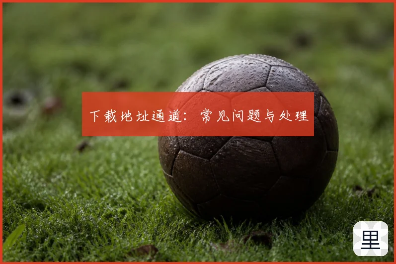 下载地址通道：常见问题与处理